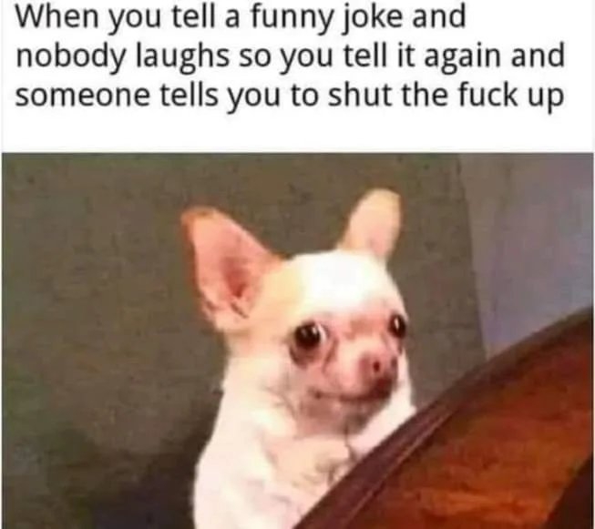 When you tell a funny joke and
nobody laughs so you tell it again and
someone tells you to shut the fuck up
