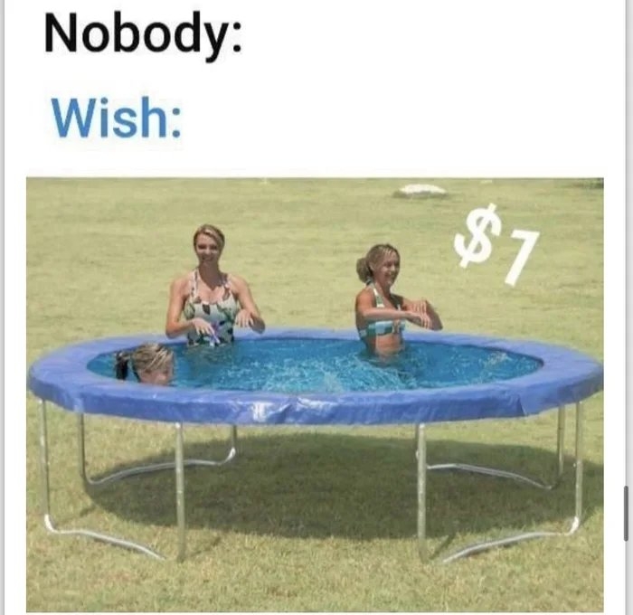 Nobody:
Wish:
$1
