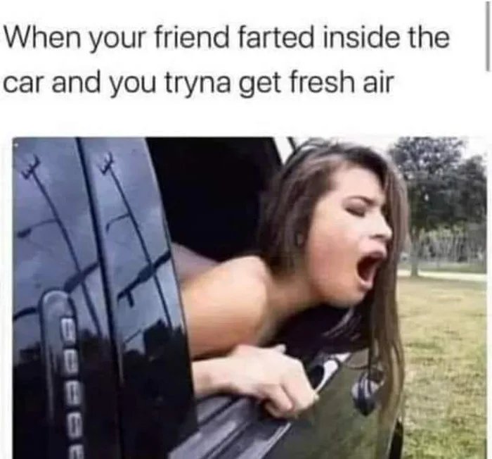 When your friend farted inside the
car and you tryna get fresh air
BE

