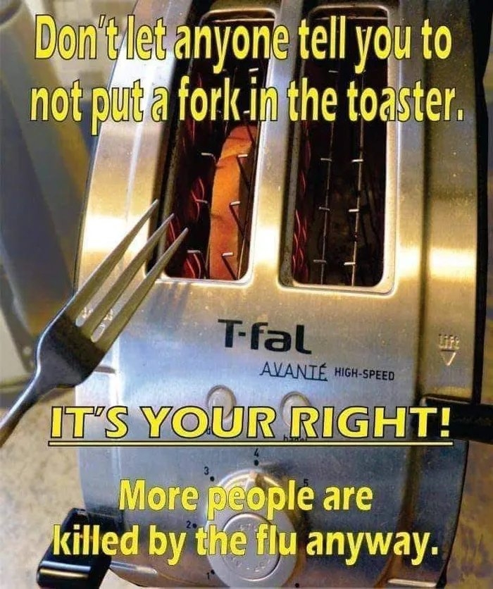 Don'tlet anyone tell you to
not put a fork in the toaster.
T-fal
AVANIÉ HIGH-SPEED
IT'S YOUR RIGHT!
More people are
killed by the flu anyway.
