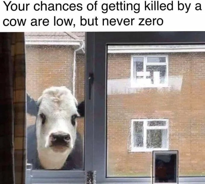 Your chances of getting killed by a
Cow are low, but never zero
