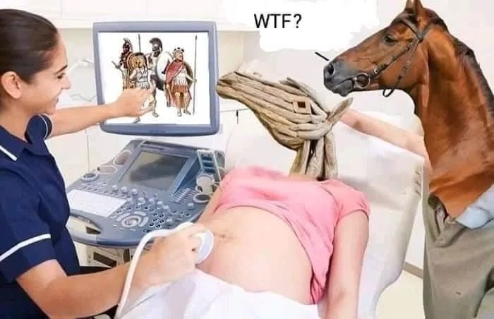 WTF?
