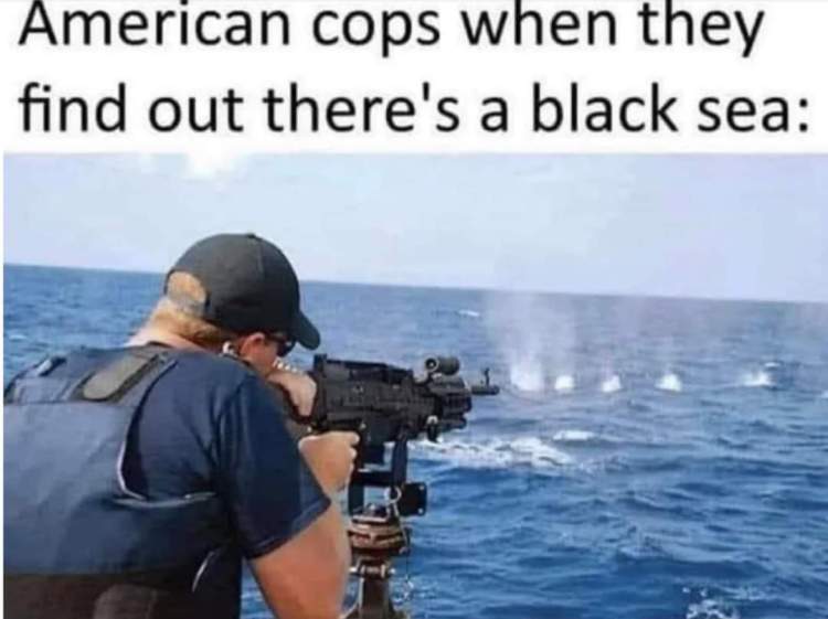 Police, when they find
out about black sea:
