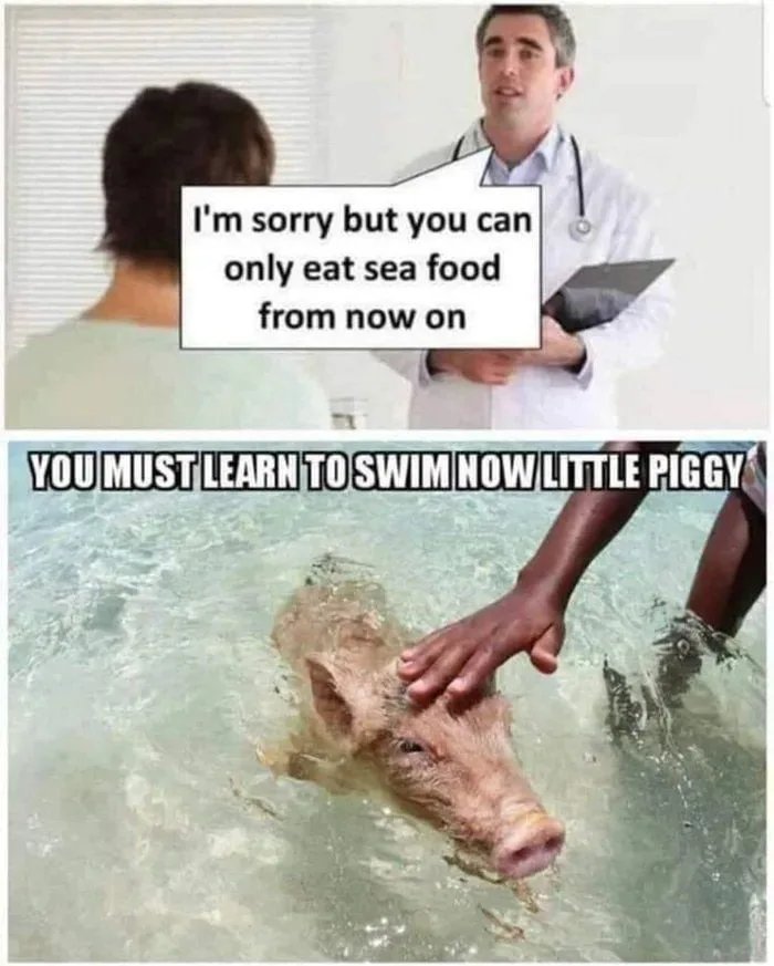 I'm sorry but you can
only eat sea food
from now on
YOU MUST LEARN TO SWIM NOW LITTLE PIGGY
