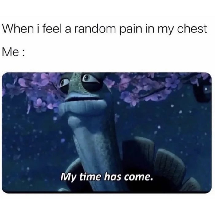 When i feel a random pain in my chest
Me :
My time has come.
