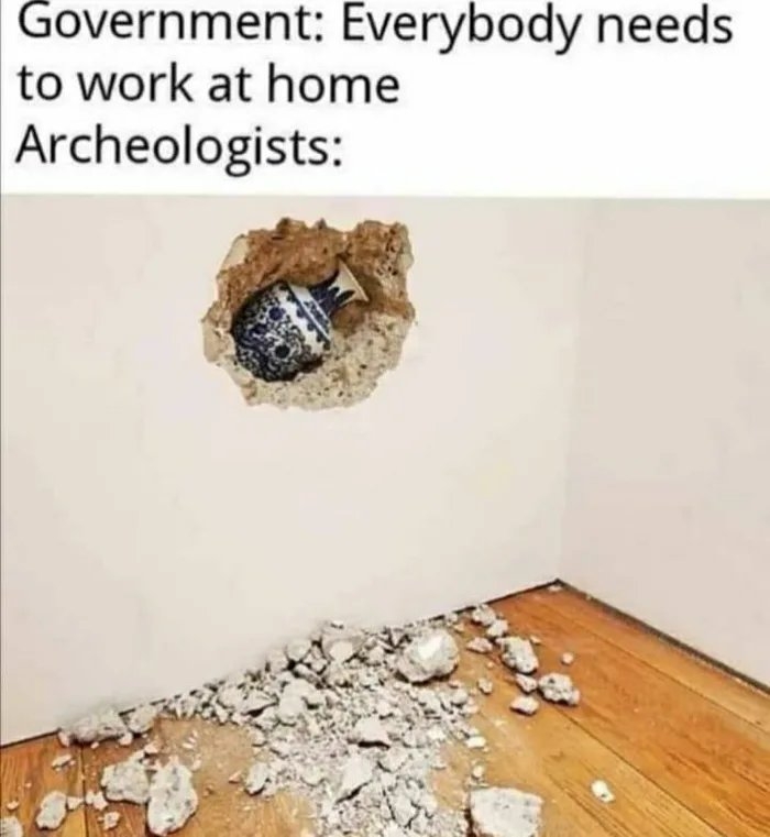Government: Everybody needs
to work at home
Archeologists:
