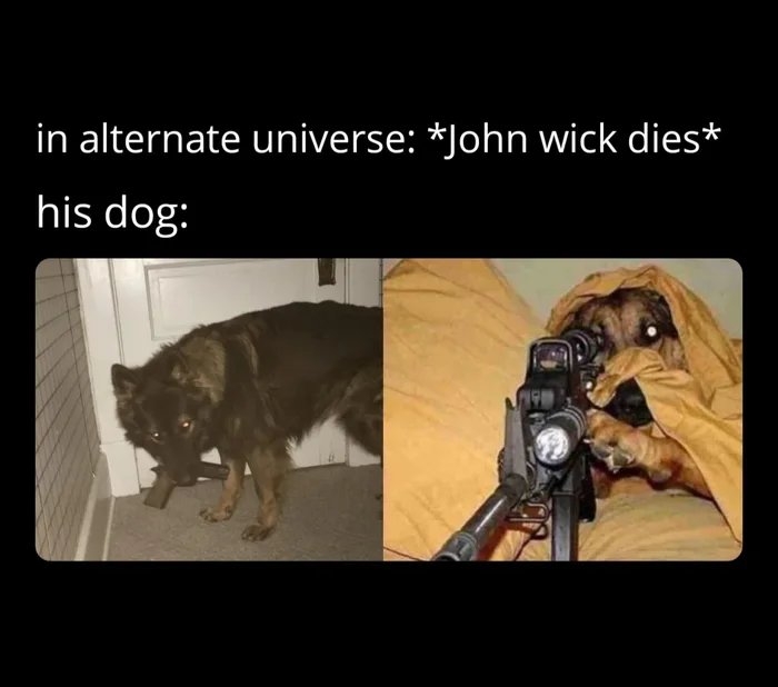 in alternate universe: *John wick dies*
his dog:

