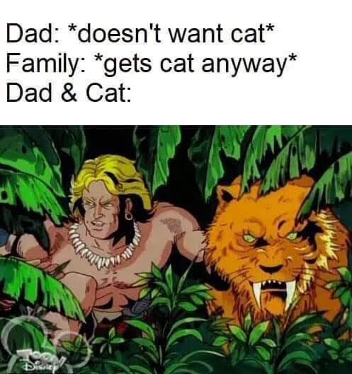 Dad: *doesn't want cat*
Family: *gets cat anyway*
Dad & Cat:
Dis
