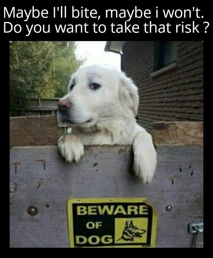 Maybe l'll bite, maybe i won't.
Do you want to take that risk ?
BEWARE
OF
DOG
