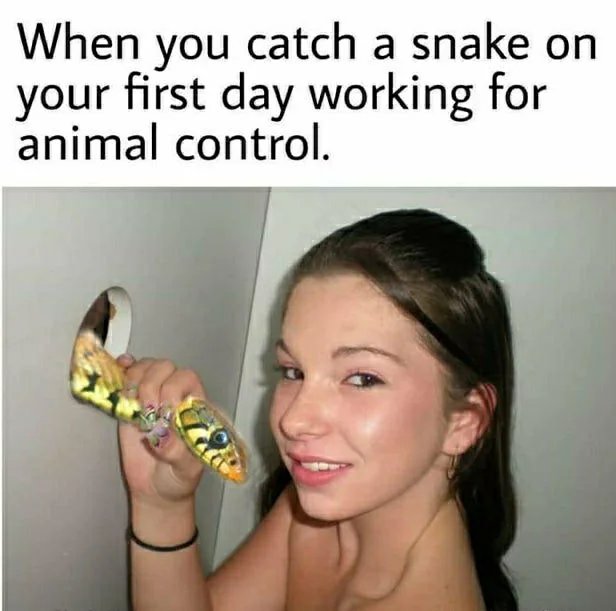 When you catch a snake on
your first day working for
animal control.
