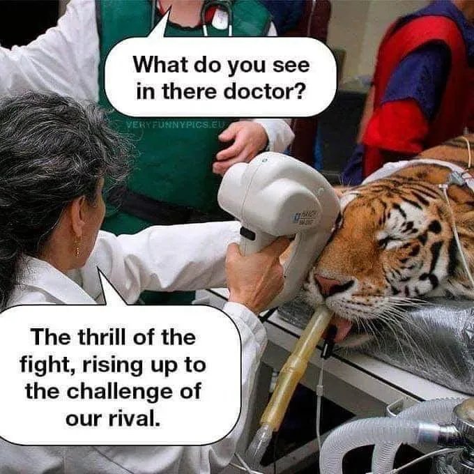 What do you see
in there doctor?
VERYFIJRINYPICS.EU
The thrill of the
fight, rising up to
the challenge of
our rival.
