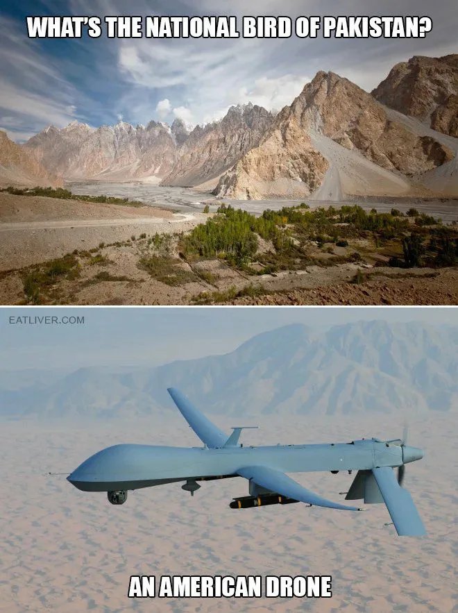 WHAT'S THE NATIONAL BIRD OF PAKISTAN?
EATLIVER.COM
AN AMERICAN DRONE

