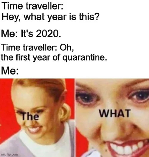 Time traveller:
Hey, what year is this?
Me: It's 2020.
Time traveller: Oh,
the first year of quarantine.
Me:
The
WHAT
imgflip.com
