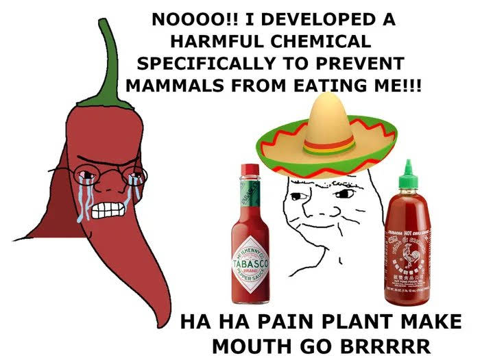 NO000!! I DEVELOPED A
HARMFUL CHEMICAL
SPECIFICALLY TO PREVENT
MAMMALS FROM EATING ME!!!
a HOT c
RENNYE
TABASCO
dr.
BRAND
SAU
HA HA PAIN PLANT MAKE
MOUTH GO BRRRRR

