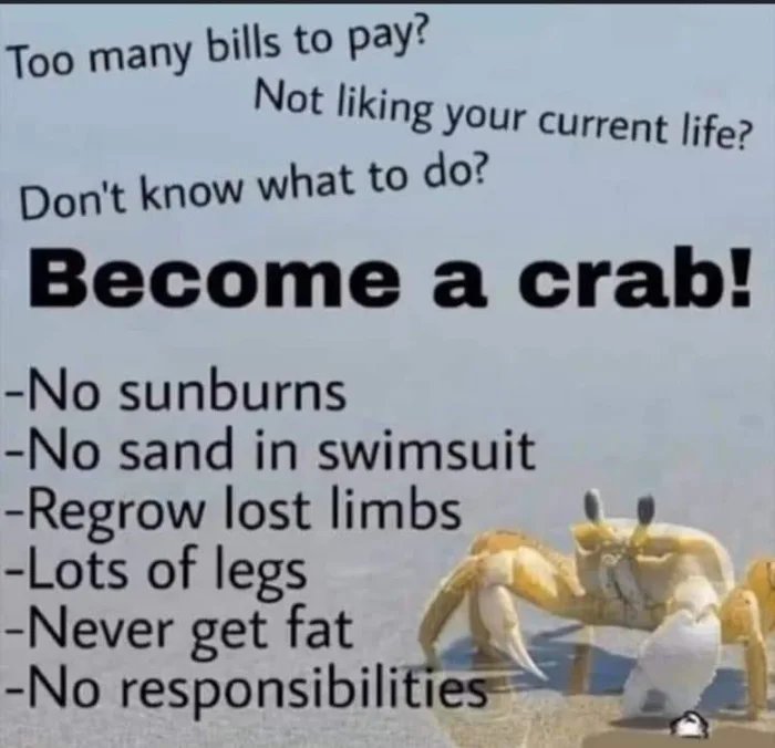 Too many bills to pay?
Not liking your current life?
Don't know what to do?
Become a crab!
-No sunburns
-No sand in swimsuit
-Regrow lost limbs
-Lots of legs
-Never get fat
-No responsibilities
