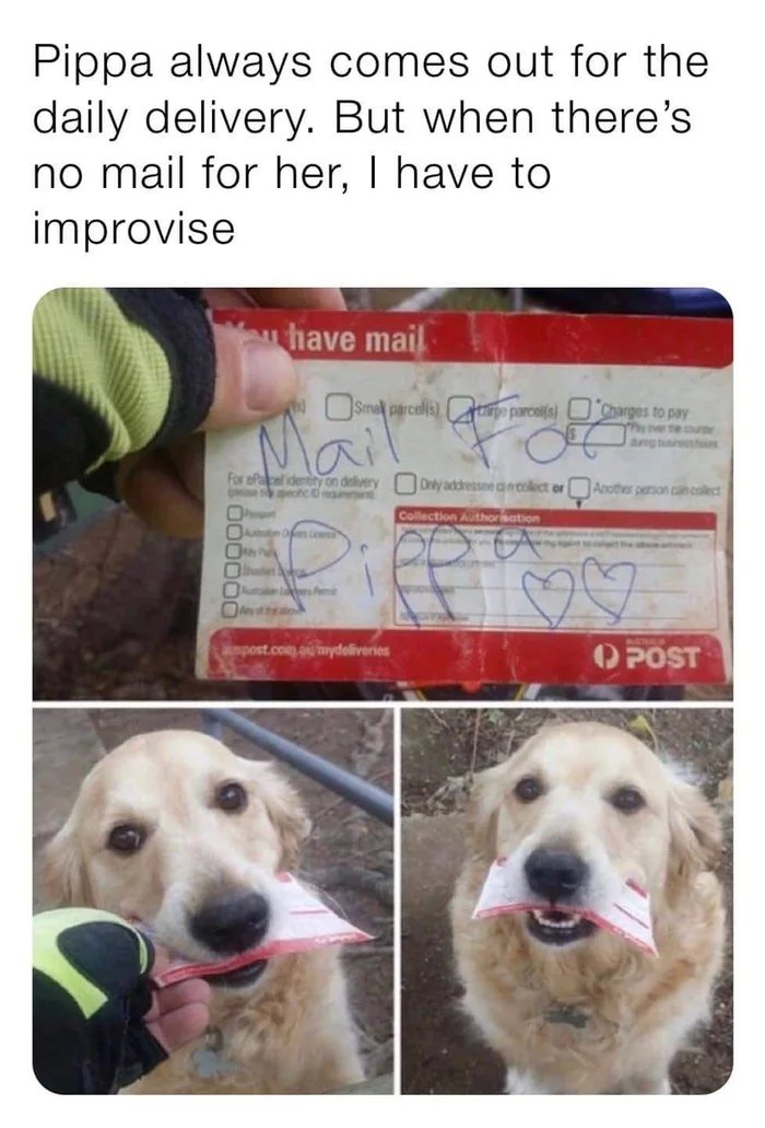 Pippa always comes out for the
daily delivery. But when there's
no mail for her, I have to
improvise
have mail
w OSmal parcell parcols) arges to pay
Ma
he e our
Amg tin s
For efcel identity on delvery ODry addressee ancolect or Anothes pernon cah collect
Collection Authorisation
Du Lo
O femit
aimpost.co auydoliveries
OPOST
