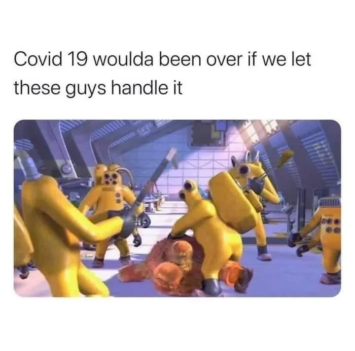 Covid 19 woulda been over if we let
these guys handle it

