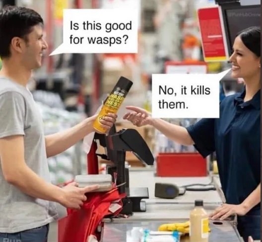 SPSibeleine
Is this good
for wasps?
No, it kills
them.
NASP
NEST
