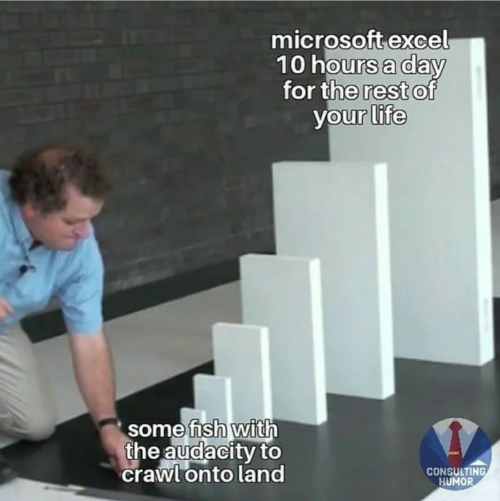 microsoft excel
10 hours a day
for the rest of
your life
some fish with
the audacity to
crawl onto land
CONSULTING
HUMOR
