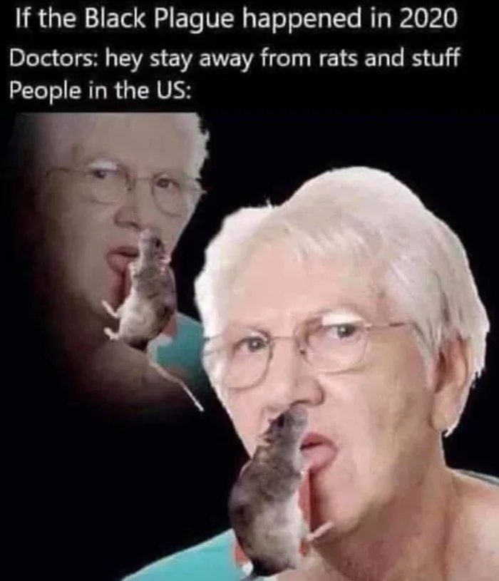 If the Black Plague happened in 2020
Doctors: hey stay away from rats and stuff
People in the US:
