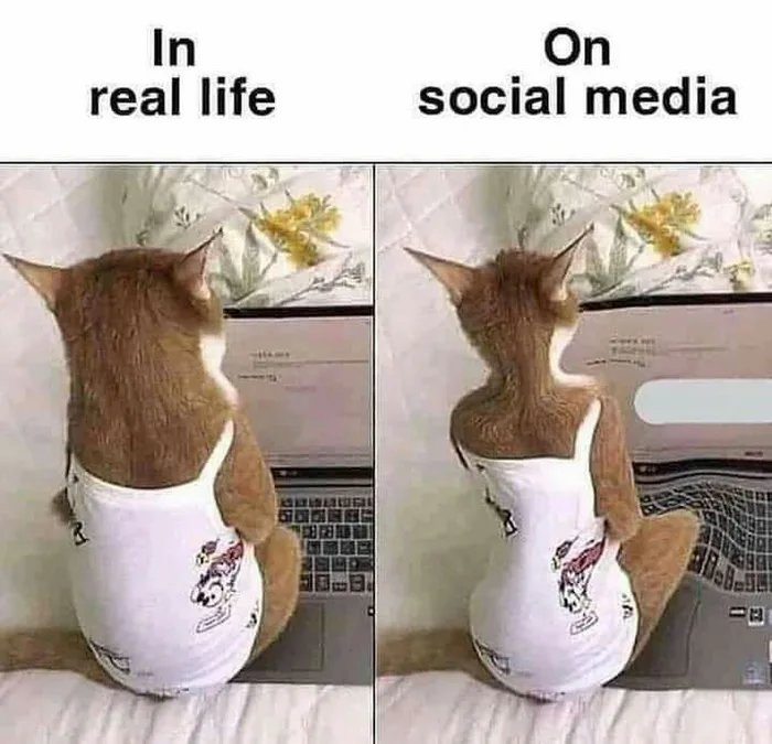 In
real life
On
social media
