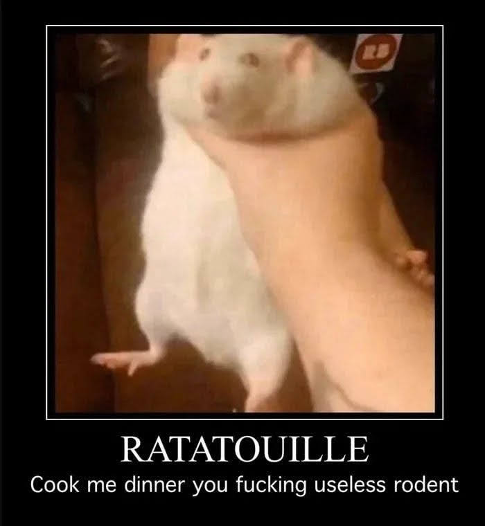 RATATOUILLE
Cook me dinner you fucking useless rodent
