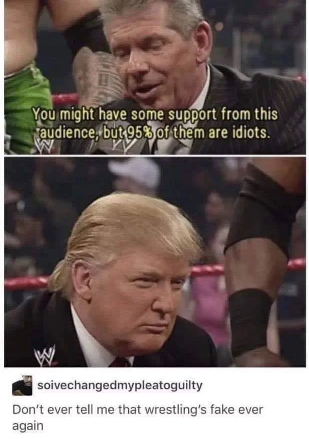 You might have some support from this
audience, but 953 of them are idiots.
soivechangedmypleatoguilty
Don't ever tell me that wrestling's fake ever
again
