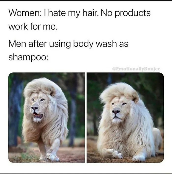 Women: I hate my hair. No products
work for me.
Men after using body wash as
shampoo:
@EmotionallyBoujee
