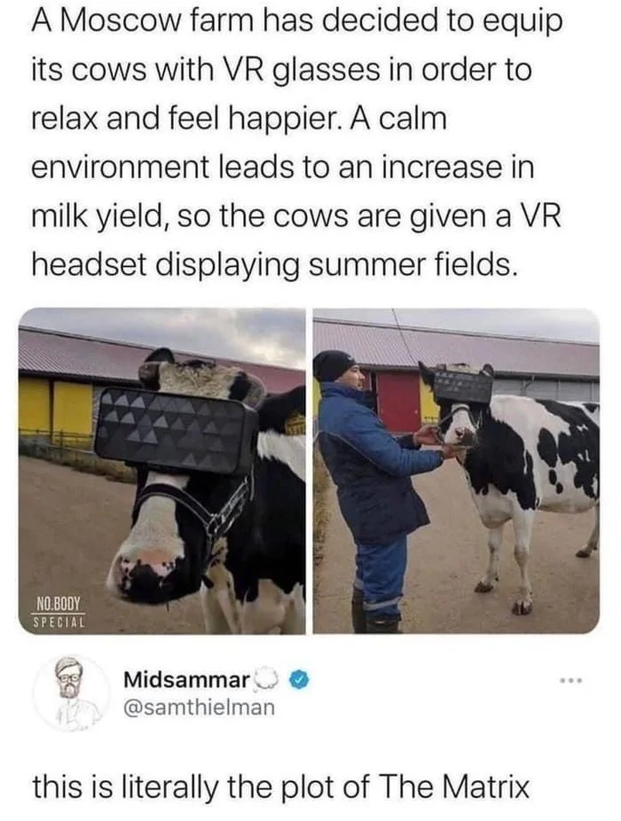 A Moscow farm has decided to equip
its cows with VR glasses in order to
relax and feel happier. A calm
environment leads to an increase in
milk yield, so the cows are given a VR
headset displaying summer fields.
NO.BODY
SPECIAL
Midsammar
..
@samthielman
this is literally the plot of The Matrix
