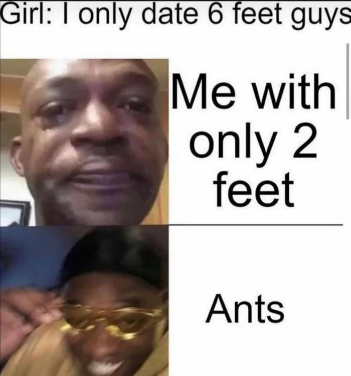 Girl: I only date 6 feet guys
Me with
only 2
feet
Ants
