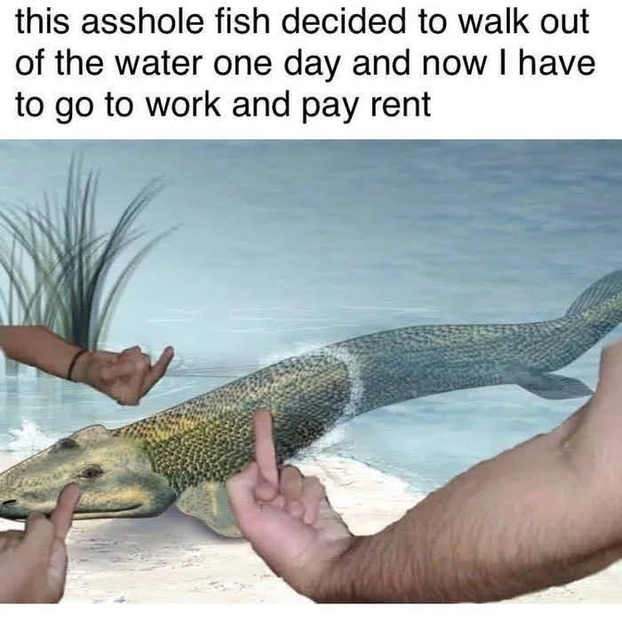 this asshole fish decided to walk out
of the water one day and now I have
to go to work and pay rent

