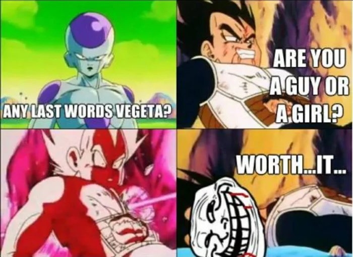 ARE YOU
AGUY OR
AGIRL?
ANY LAST WORDS VEGETA?
WORTH.IT.
