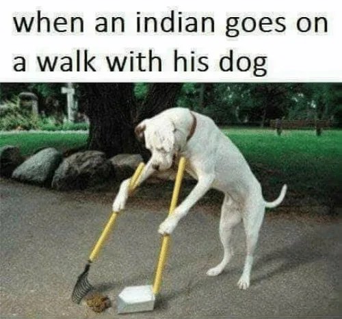 when an indian goes on
a walk with his dog
