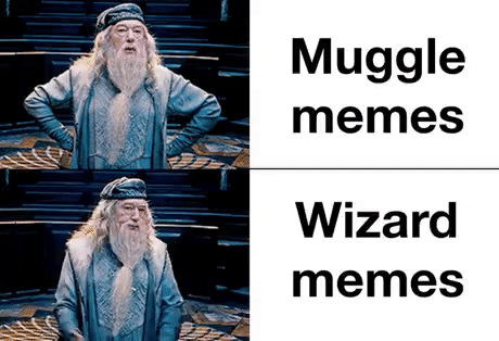 Muggle
memes
Wizard
memes
