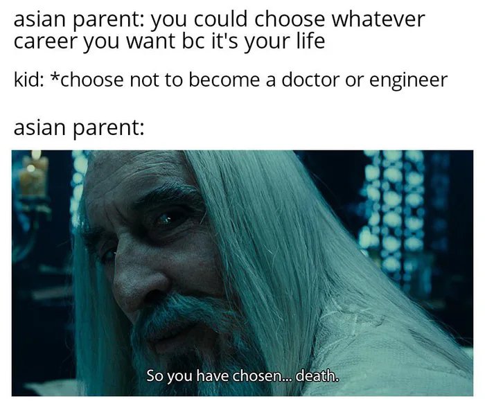 asian parent: you could choose whatever
career you want bc it's your life
kid: *choose not to become a doctor or engineer
asian parent:
So you have chosen.. death.
