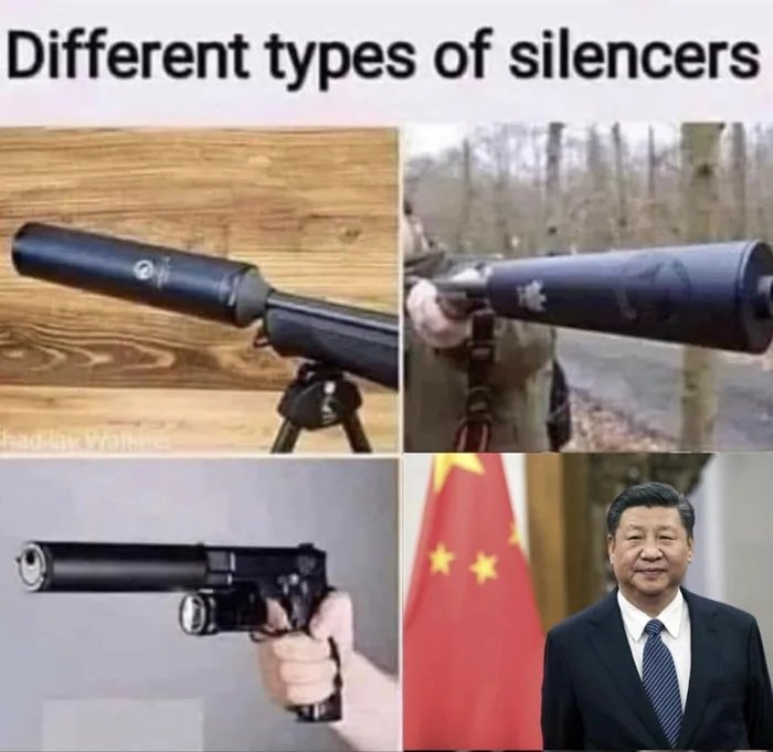 Different types of silencers
hadilay Walhi
