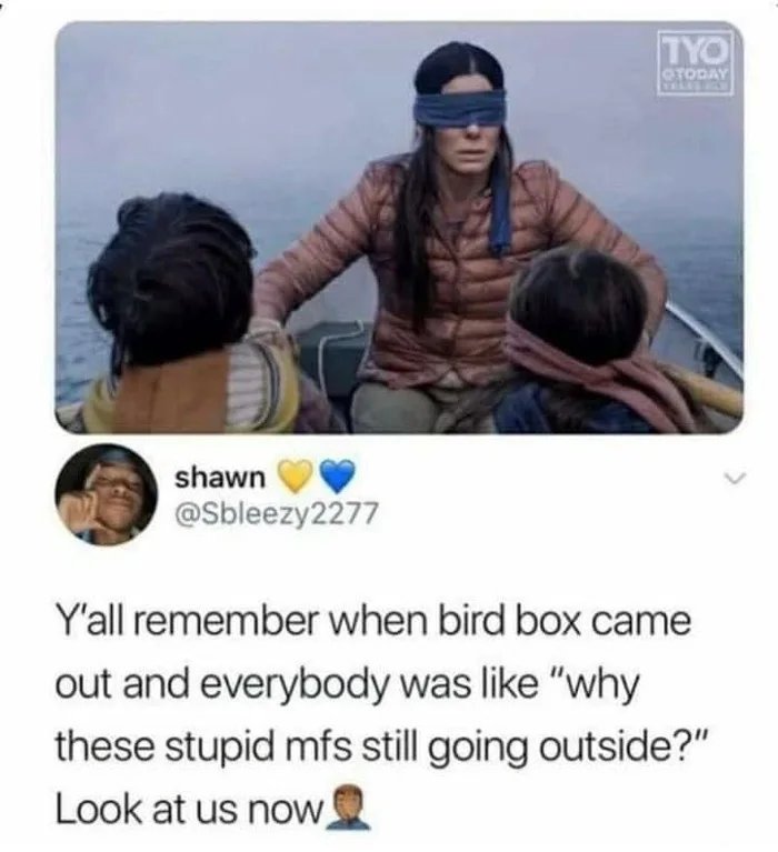 TYO
OTODAY
shawn
@Sbleezy2277
Y'all remember when bird box came
out and everybody was like 