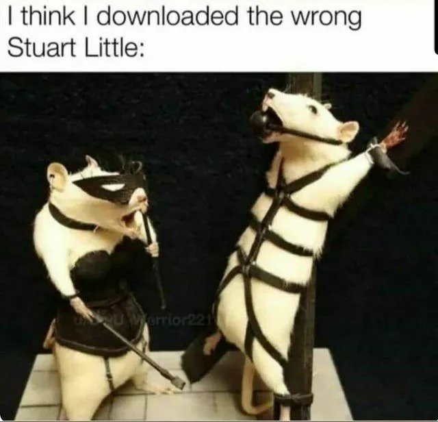 I think I downloaded the wrong
Stuart Little:
UWarrior221
