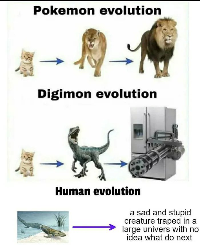 Pokemon evolution
Digimon evolution
Human evolution
a sad and stupid
creature traped in a
large univers with no
idea what do next
