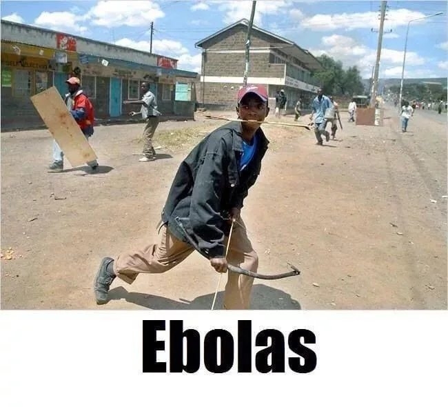 Ebolas
