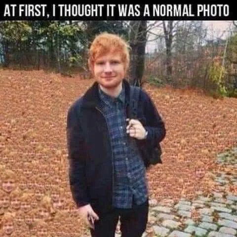 AT FIRST, I THOUGHT IT WAS A NORMAL PHOTO
