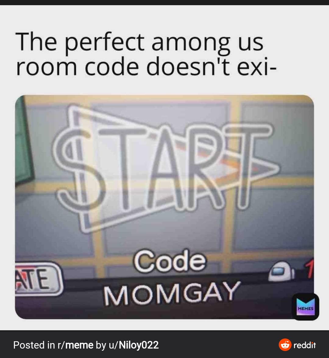The perfect among us
room code doesn't exi-
START
Code
ATE
MOMGAY
MEMES
Posted in r/meme by u/Niloy022
reddit
