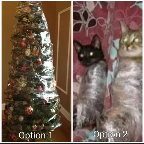 Option 1
Option 2
