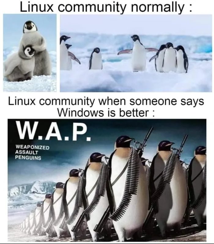 Linux community normally :
Linux community when someone says
Windows is better :
W.A.P.
WEAPONIZED
ASSAULT
PENGUINS
