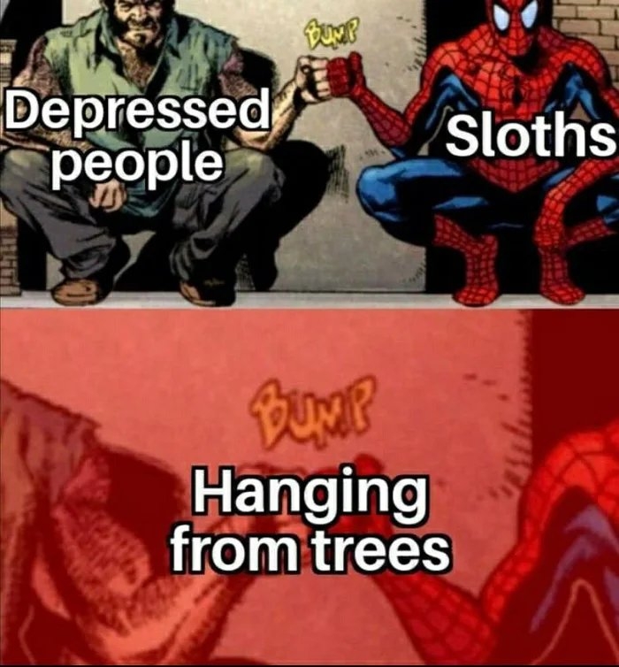 Depressed
реople
Sloths
Hanging
from trees
