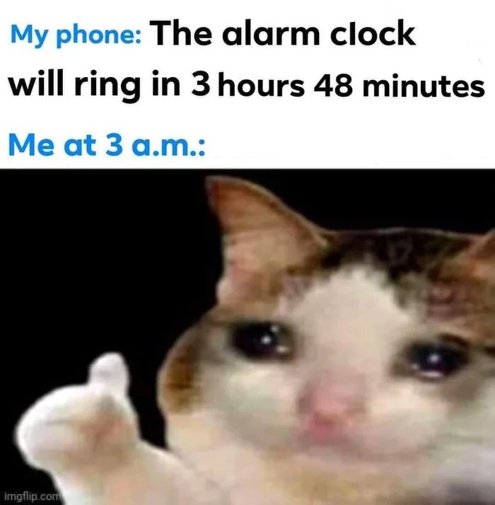 My phone: The alarm clock
will ring in 3 hours 48 minutes
Me at 3 a.m.:
imgflip.com
