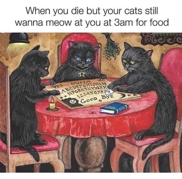 When you die but your cats still
wanna meow at you at 3am for food
OU13
ABCDEFGHIJKLM
** NPORSTUVIXY
TES
1234567890
O GOOD BYE *
