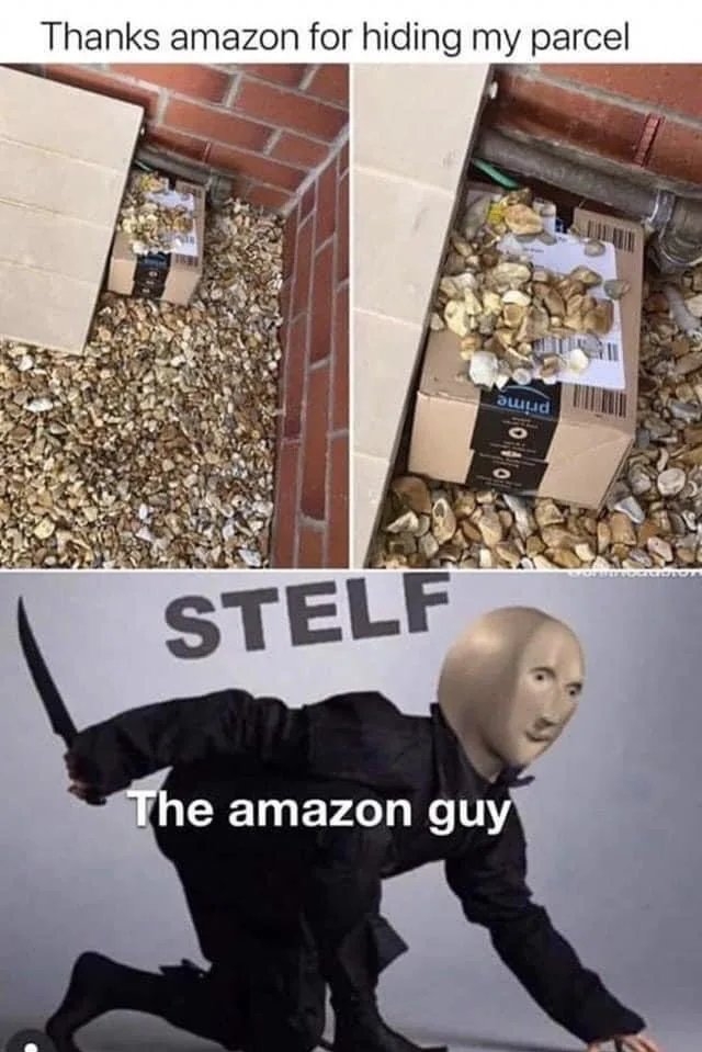 Thanks amazon for hiding my parcel
STELF
The amazon guy
