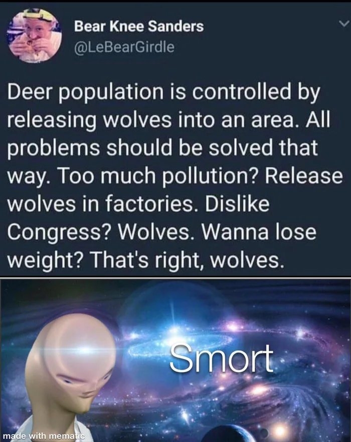 Bear Knee Sanders
@LeBearGirdle
Deer population is controlled by
releasing wolves into an area. All
problems should be solved that
way. Too much pollution? Release
wolves in factories. Dislike
Congress? Wolves. Wanna lose
weight? That's right, wolves.
Smort
made with mematic
