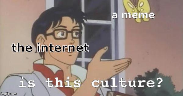 a meme
the internet
is this culture?
imgfilp.com

